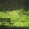 Bench looking over grassy field